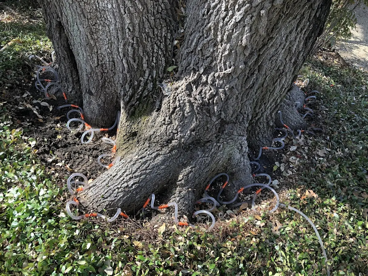 Detailed Shrub and Hedge Trimming job site in Hawks